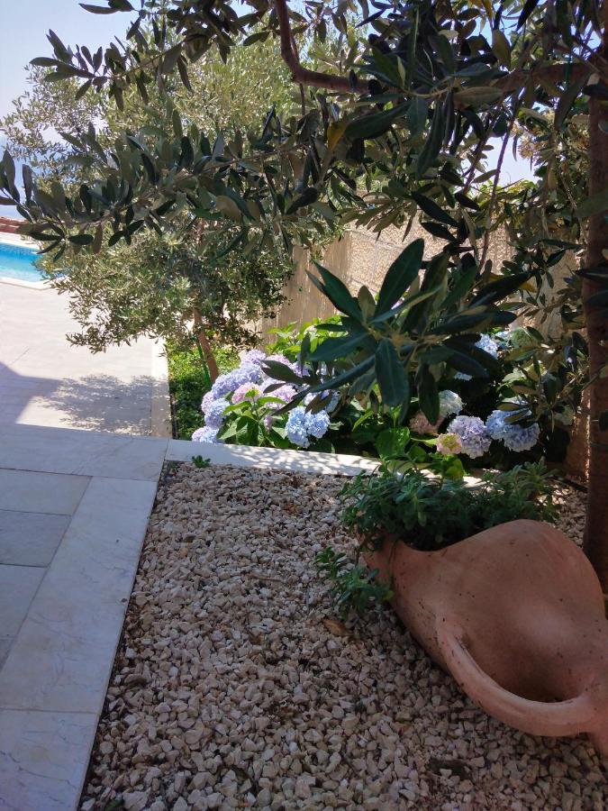 Appartement Oliva 1 Lozica
