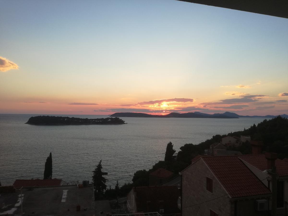 Apartment Oliva 1 Lozica