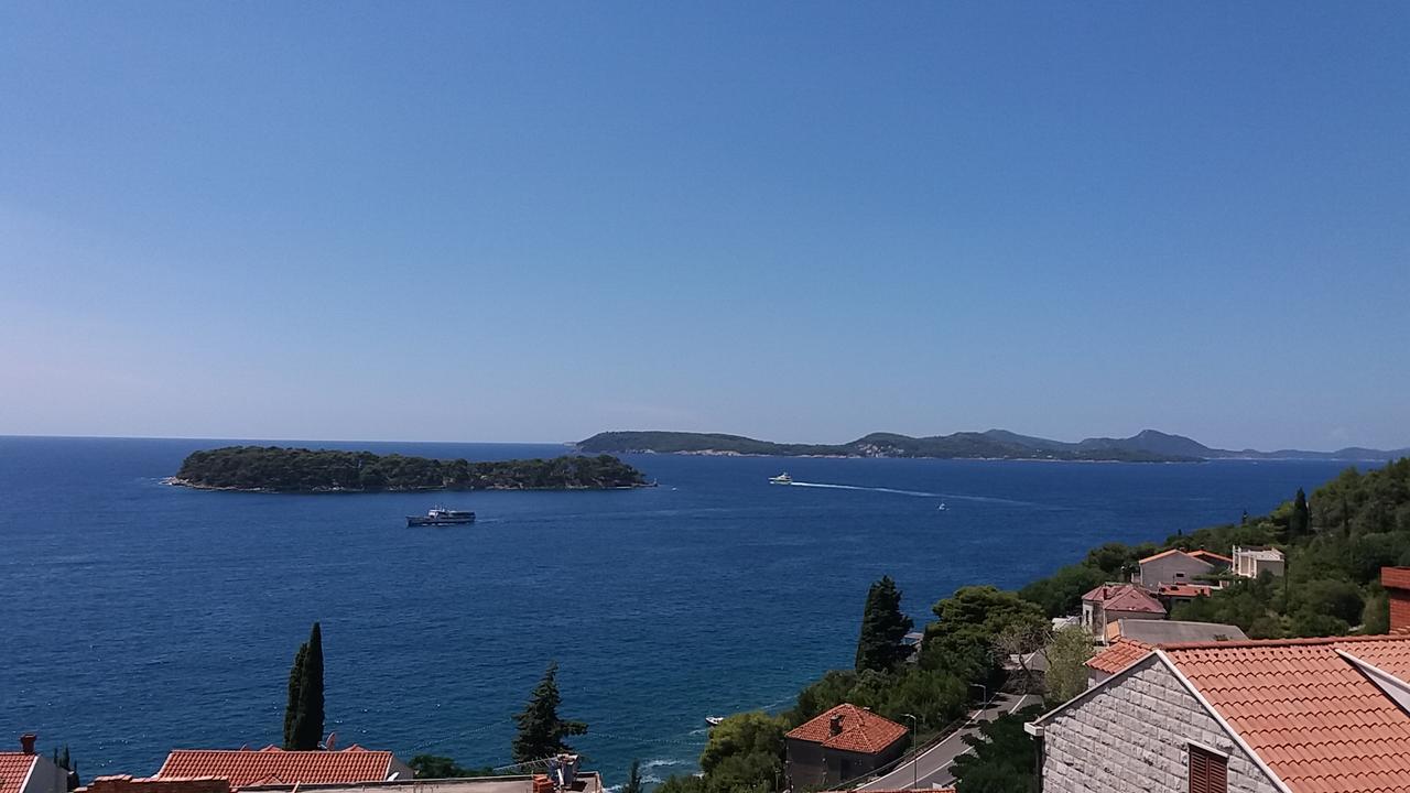 Oliva 1 Lozica Dubrovnik
